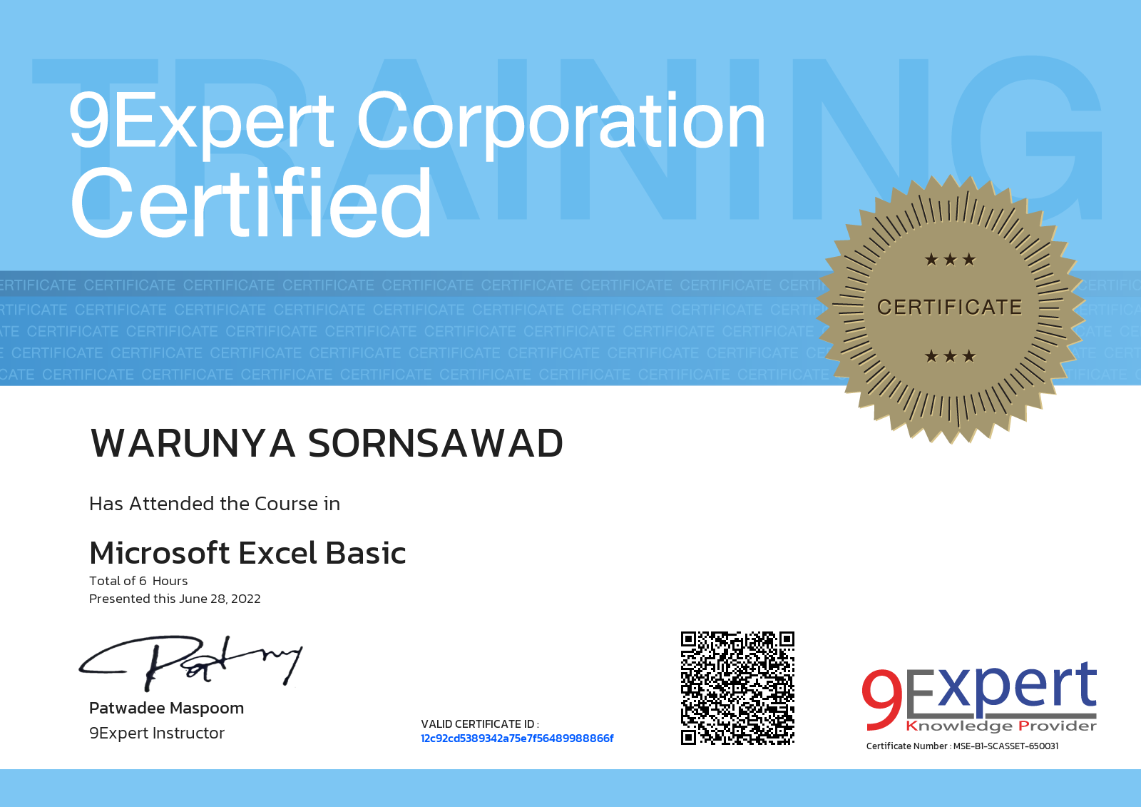 Warunya Sornsawad has attended the course in Microsoft Excel Basic presented this june 28, 2022