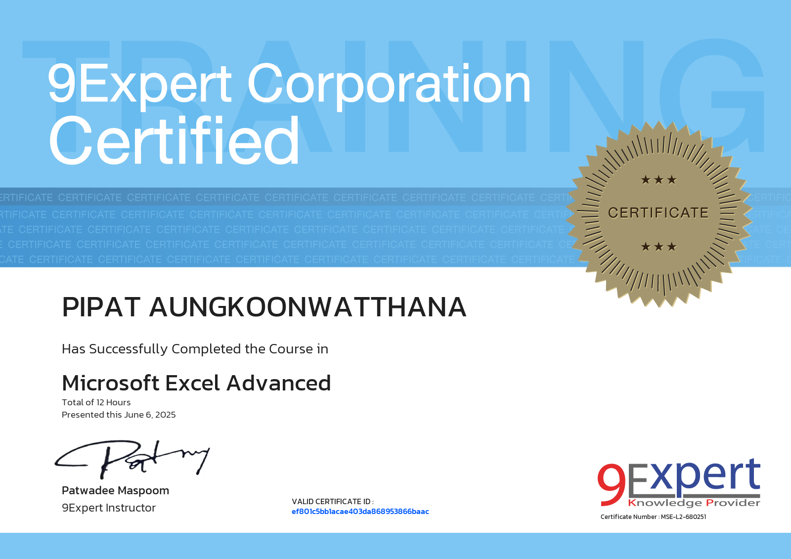 Pipat Aungkoonwatthana has successfully completed the course in Microsoft Excel Advanced presented this june 6, 2025
