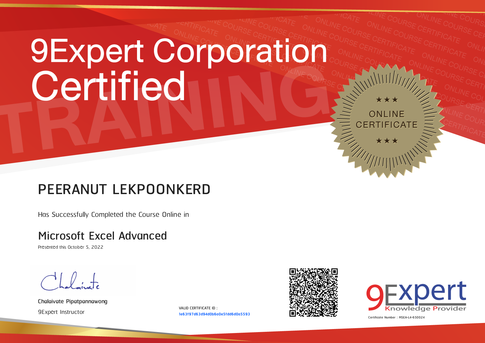 Peeranut Lekpoonkerd has successfully completed the course online in Microsoft Excel Advanced presented this june 27, 2025